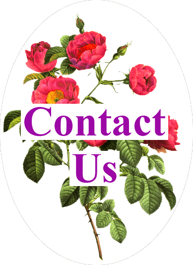 contactus.gif (4762 bytes)